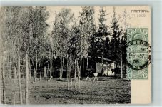 Pretoria 1905 - View in Zoological Garden