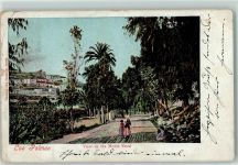 Las Palmas de Gran Canaria Gebrauchsspuren View of the Monte Road