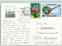 Djerba - Jerba Gallala