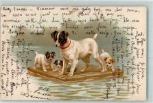 auf einem Floß AK Welpe 1903