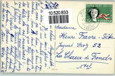 Humor - Hasen ärgern den Hund AK Humor 1958