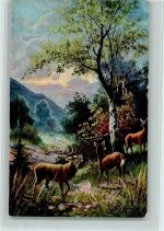 Jagdtiere - Hirsch u. Rehe AK Schönian, A.