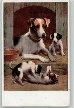 Künstlerkarte Verlag T.S.N. Serie 1544 AK Welpe Gebrauchsspuren