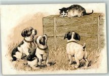 3 Welpen und eine Katze , Golddruck Welpe Lithographie