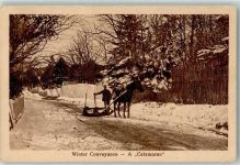 Winter Conveyance - A Catamaran Beruf Tiergespann
