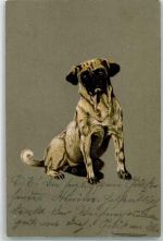Mops Kleiner Hund 1902 Prägedruck
