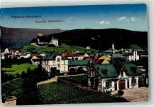 67433 W6730 Haardt an der Weinstraße 1921 - mit Haardter Schlösschen