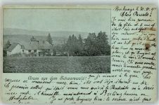 74747 W6963 Merchingen , Baden 1901 Gebrauchsspuren Gruß aus dem Schwarzwald Ort lt. Stempel