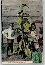 Havanna La Habana Foto AK Tabak Kinder Briefmarke Bildseite