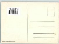 Das Dschungelbuch Baloo und Khan der Tger Walt Disney