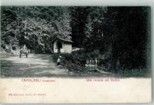 52010 Camaldoli - Una veduta del Bosco