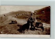 Hirte mit Schafen Hirte