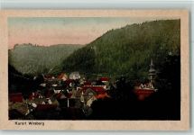 95339 W8655 Wirsberg 1918 - Teilansicht - nicht sauber
