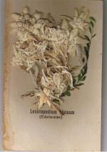 mit echtem Edelweiß - Blumen Besondere Karte