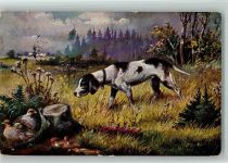 Jagdhund stöbert nach Federwild - Eckknick Jagd Schönian, A.