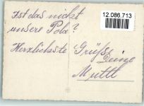 Cocker Spaniel ca 1955 AK Spaniel