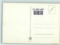 Spaniel ca 1965 AK Spaniel
