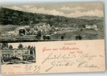 94227 W8372 Rabenstein , Kr Regen 1899 - Pension