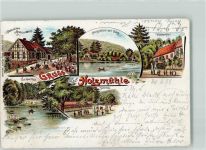 31832 W3213 Eldagsen , Deister 1898 Lithographie Gasthaus Holzmühle Teich Wasserfall Seerosen Veranda Ort handschriftlich