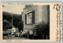 01612 O8401 Diesbar-Seußlitz 1918 - Villa Gertrud Familie Schaukelpferd Puppenwagen Kinderwagen