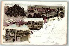 29456 W3139 Hitzacker Elbe 1897 Lithographie Villen Kurpark Große Kastanie