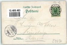 29456 W3139 Hitzacker Elbe 1897 Lithographie Villen Kurpark Große Kastanie