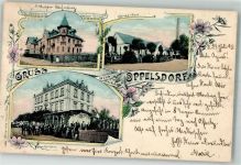 Bad Oppelsdorf Opolno Zdroj 1903 - Villa Waldesruhe Carola-Bad Kurhaus