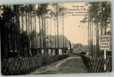 15537 O1252 Grünheide , Mark 1916 - Staatliche Hundezucht u. Dressuranstalt