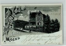 56859 W5584 Alf 1900 Lithographie / Mondschein Gasthaus Waldfrieden Gruss von der Mosel