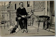 98724 O6422 Ernstthal Foto AK Gruß vom Gasthaus Dores Hund Rehkitz-Fütterung