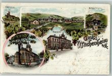 67098 W6706 Wachenheim an der Weinstraße 1905 Lithographie Bürgerspital Wachtenburg Forsthaus Rothsteg