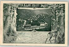 72218 W7277 Wildberg , Württ 1903 Prägedruck Passepartout Hirsch Bahnhof Wildberg