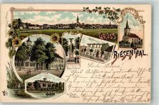 16359 O1296 Biesenthal b Bernau b Berlin 1897 Lithographie Altes u. Neues Rathaus Kurhaus Fritz Struck's Schlößchen Sonnenbumen Verlag Ottmar Zieher-München