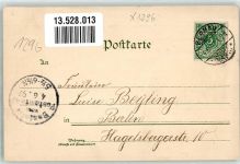 16359 O1296 Biesenthal b Bernau b Berlin 1897 Lithographie Altes u. Neues Rathaus Kurhaus Fritz Struck's Schlößchen Sonnenbumen Verlag Ottmar Zieher-München