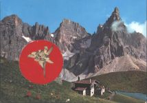 Echtes Edelweiß, Rollepaß, Schutzhaus Segantini Edelweiß