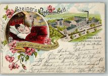 09669 O9262 Frankenberg , Sachs 1900 BOAKC Lithographie Reklame Reformbettenfabrik Steiner & Sohn Schlafende junge Frau und Engelchen