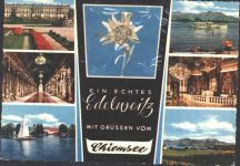 W8211 Chiemsee Echtes Edelweiß Edelweiß