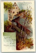 93339 W8422 Riedenburg , Rhön 1902 Lithographie sign. Treiber H. Schloss Rosenburg