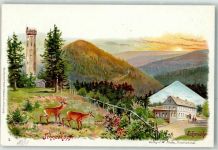 98559 O6054 Schmücke Lithographie Schneekopf Aussichtsturm Reh Sonne