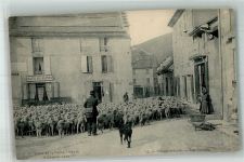38250 Villard-de-Lans Foto AK Cafe des Alpes Schafherde Rue Centrale
