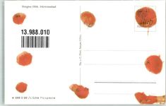 83355 W8221 Bergen , Oberbay Gebrauchsspuren Schwimmbad