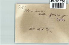 24638 W2351 Schmalensee FOTO KEINE AK Mütter-Genesungsheim