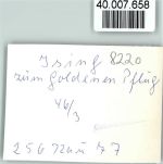 83339 W8224 Ising , Chiemsee FOTO KEINE AK zum goldenen Pflug