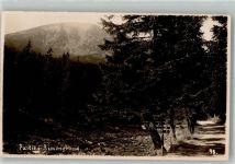 Pec pod Snezkou Petzer Foto AK Im Riesengrund