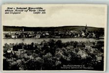 14542 O1501 Werder Havel Foto AK Aussicht Hotel Bismarckhöhe Baumblüte Kirche