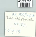 W3308 Schöppenstedt Landesbank Bank FOTO KEINE AK