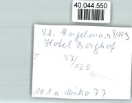 94379 W8449 St Englmar FOTO KEINE AK Hotel Berghof