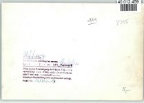 82449 W8114 Uffing a. Staffelsee FOTO KEINE AK Staffelsee