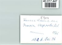 86473 W8907 Maria Vesperbild FOTO KEINE AK Tannhausen