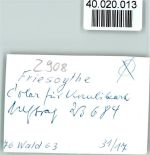 26169 W2908 Friesoythe FOTO KEINE AK